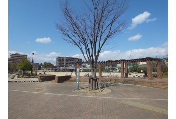 近くの森具公園です