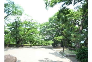 緑いっぱいの夙川オアシスロード