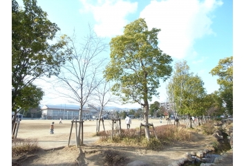 近くの高木公園