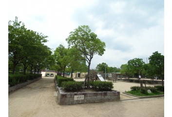 近隣の公園